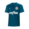 Palmeiras Soccer Jersey Goalkeeper Blue Replica 2020