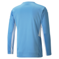 Manchester City Soccer Jersey Home Long Sleeve Replica 2021/22