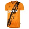 Hull City AFC Soccer Jersey Home Replica 2021/22