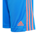 Manchester United Soccer Short Away Replica 2021/22