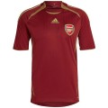 Arsenal Soccer Jersey Teamgeist Training Replica 2021/22