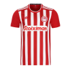 Olympiakos Soccer Jersey Home Replica 2021/22