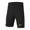 Tottenham Hotspur Soccer Short Away Replica 2021/22