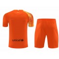 Barcelona Soccer Jersey Goalkeeper Kit(Jersey+Short) Orange Replica 2021/22