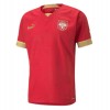 Serbia Soccer Jersey Home Replica World Cup 2022