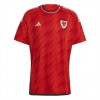 Wales Soccer Jersey Home Replica World Cup 2022