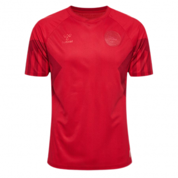 Denmark Soccer Jersey Home Replica World Cup 2022