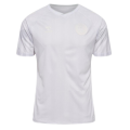 Denmark Soccer Jersey Away Replica World Cup 2022