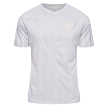 Denmark Soccer Jersey Away Replica World Cup 2022