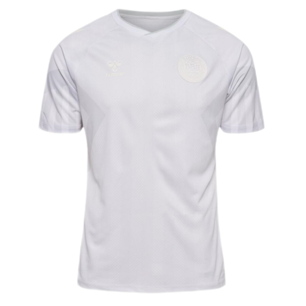 Denmark Soccer Jersey Away Replica World Cup 2022