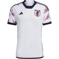 Japan Soccer Jersey Away Replica World Cup 2022