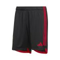 Belgium Soccer Shorts Home Replica World Cup 2022