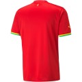 Ghana Soccer Jersey Away Replica World Cup 2022