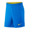 Brazil Soccer Short Home Replica 2021