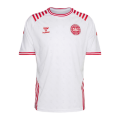 Denmark Soccer Jersey Limited Edition Replica 2022