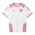 Denmark Soccer Jersey Limited Edition Replica 2022