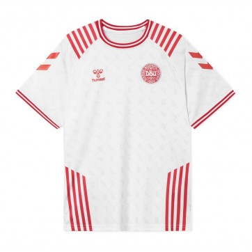 Denmark Soccer Jersey Limited Edition Replica 2022