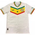 Senegal Soccer Jersey Home Replica World Cup 2022