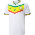 Senegal Soccer Jersey Home Replica World Cup 2022