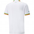 Senegal Soccer Jersey Home Replica World Cup 2022