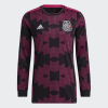 Mexico Soccer Jersey Home Long Sleeve Replica 2021