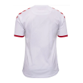 Denmark Soccer Jersey Away Replica 2021