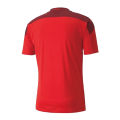 Switzerland Soccer Jersey Home Replica 2021