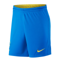 Brazil Soccer Jersey Home Kit (Shirt+Short) Replica 2021