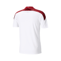 Morocco Soccer Jersey Away Replica 2020